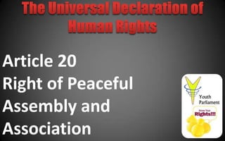 Article 20
Right of Peaceful
Assembly and
Association
 