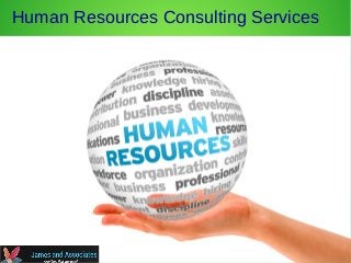 Human Resources Consulting Services
 