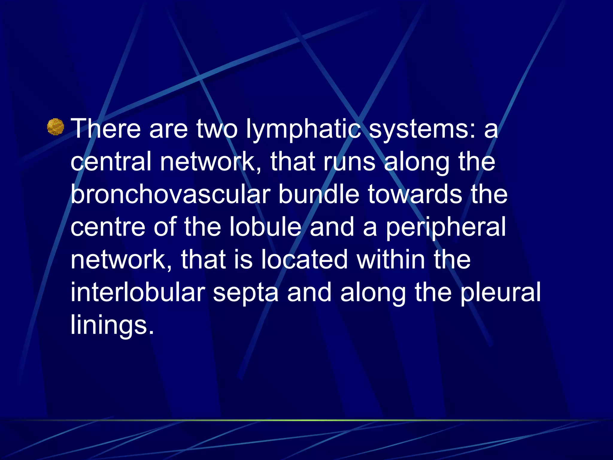 There are two lymphatic systems: a
central network, that runs along the
bronchovascular bundle towards the
centre of the lobule and a peripheral
network, that is located within the
interlobular septa and along the pleural
linings.
 