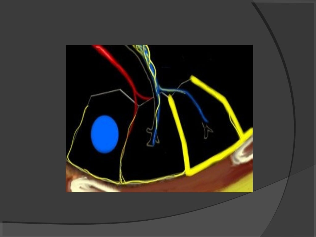 Hrct chest technique and interpretation