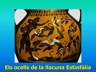 Els ocells de la llacuna Estinfàlia
 