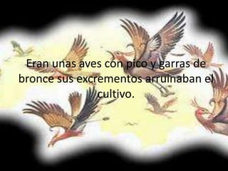 Eran unas aves con pico y garras de
bronce sus excrementos arruinaban el
cultivo.

 