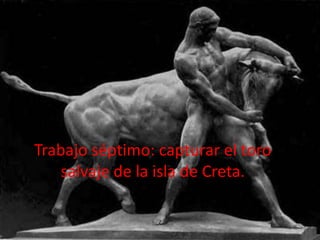 Trabajo séptimo: capturar el toro
salvaje de la isla de Creta.

 