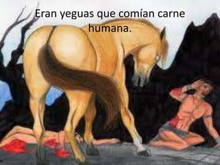 Eran yeguas que comían carne
humana.

 