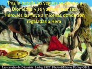 Tras la batalla las yeguas se comen a
Diomedes y se vuelven mansas,
Hércules las lleva a micenas donde son
regaladas a Hera.

 