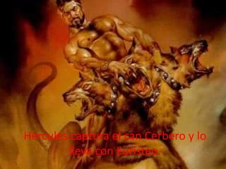Hércules captura el can Cerbero y lo
lleva con Euristeo.

 