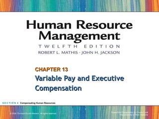 CHAPTER 13 Variable Pay and Executive Compensation S E C T I O N  4   Compensating Human Resources 