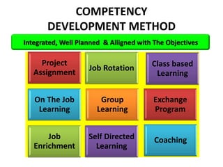 Human Resorces Development Blueprint | PPTX