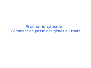 Prochaine capsule:  Comment on passe des gènes au traits 