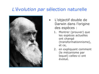 L’évolution par  sélection naturelle L’objectif double de Darwin dans l’origine des espèces : Montrer (prouver) que les espèces actuelles ont changé (transformationnisme), et ce, en expliquant comment (le mécanisme par lequel) celles-ci ont évolué. 
