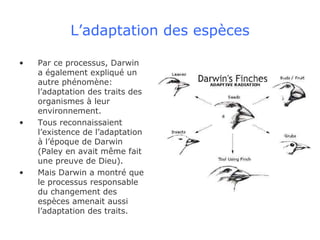 L’adaptation des espèces Par ce processus, Darwin a également expliqué un autre phénomène: l’adaptation des traits des organismes à leur environnement. Tous reconnaissaient l’existence de l’adaptation à l’époque de Darwin (Paley en avait même fait une preuve de Dieu). Mais Darwin a montré que le processus responsable du changement des espèces amenait aussi l’adaptation des traits. 