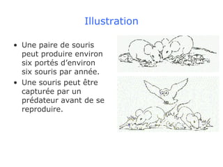 Illustration Une paire de souris peut produire environ six portés d’environ six souris par année. Une souris peut être capturée par un prédateur avant de se reproduire. 