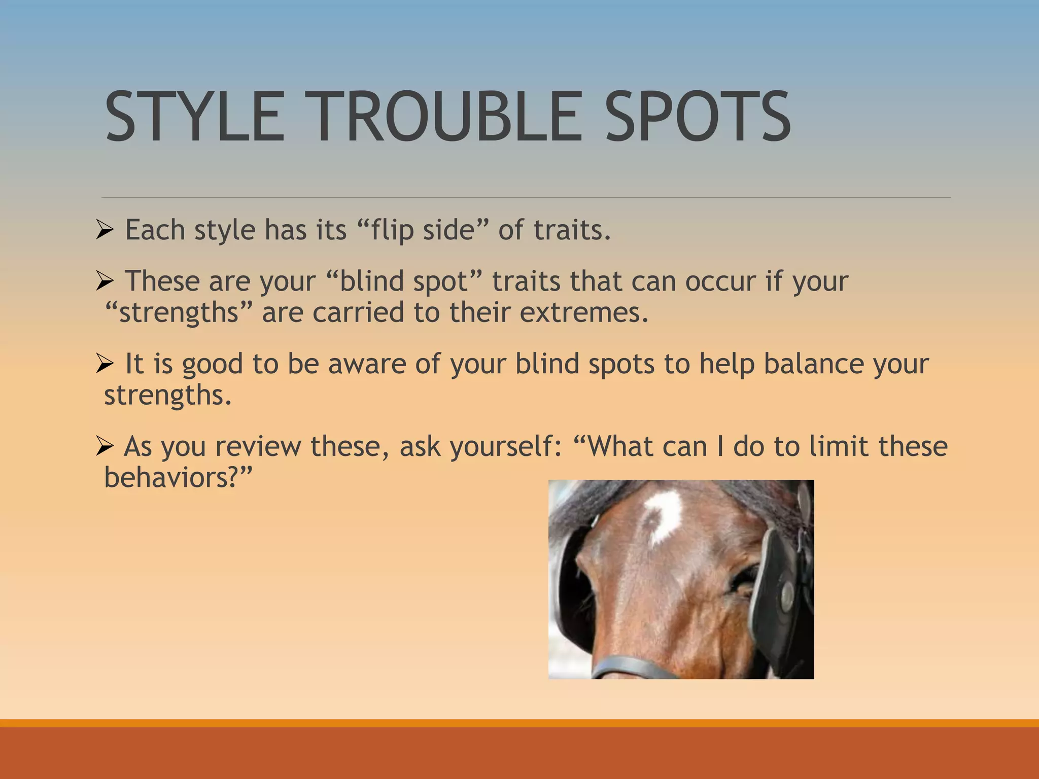 STYLE TROUBLE SPOTS
 Each style has its “flip side” of traits.
 These are your “blind spot” traits that can occur if your
“strengths” are carried to their extremes.
 It is good to be aware of your blind spots to help balance your
strengths.
 As you review these, ask yourself: “What can I do to limit these
behaviors?”
 