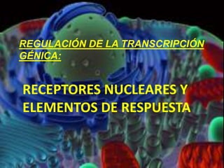 llos REGULACIÓN DE LA TRANSCRIPCIÓN GÉNICA: RECEPTORES NUCLEARES Y ELEMENTOS DE RESPUESTA 