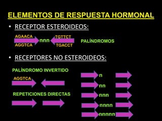 HRE:ELEMENTOS DE RESPUESTA HORMONAL