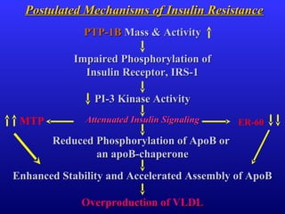 Postulated Mechanisms of Insulin ResistancePostulated Mechanisms of Insulin Resistance
PTP-1BPTP-1B Mass & ActivityMass & Activity
Impaired Phosphorylation ofImpaired Phosphorylation of
Insulin Receptor, IRS-1Insulin Receptor, IRS-1
PI-3 Kinase ActivityPI-3 Kinase Activity
Attenuated Insulin SignalingAttenuated Insulin Signaling
Reduced Phosphorylation of ApoB orReduced Phosphorylation of ApoB or
an apoB-chaperonean apoB-chaperone
Enhanced Stability and Accelerated Assembly of ApoBEnhanced Stability and Accelerated Assembly of ApoB
Overproduction of VLDLOverproduction of VLDL
ER-60MTP
 