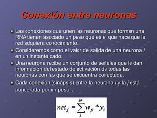 Conexión entre neuronas Las conexiones que unen las neuronas que forman una RNA tienen asociado un peso que es el que hace que la red adquiera conocimiento.  Consideremos como el valor de salida de una neurona  i  en un instante dado.  Una neurona recibe un conjunto de señales que le dan información del estado de activación de todas las neuronas con las que se encuentra conectada. Cada conexión (sinápsis) entre la neurona  i  y la  j  está ponderada por un peso  .  