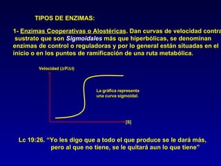 TIPOS DE ENZIMAS: 1-  Enzimas Cooperativas o Alostéricas . Dan curvas de velocidad contra sustrato que son  Sigmoidales  más que hiperbólicas, se denominan  enzimas de control o reguladoras y por lo general están situadas en el inicio o en los puntos de ramificación de una ruta metabólica. La gráfica representa  una curva sigmoidal. [S] Velocidad (  P/  t) Lc 19:26. “Yo les digo que a todo el que produce se le dará más, pero al que no tiene, se le quitará aun lo que tiene” 