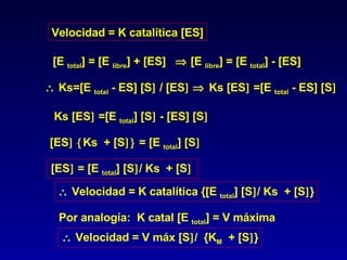 Velocidad = K catalítica [ES] [E  total ] = [E  libre ] + [ES]    [E  libre ] = [E  total ] - [ES]    Ks=[E  total  - ES] [S   / [ES       Ks [ES   =[E  total  - ES] [S  Ks [ES   =[E  total ] [S   - [ES] [S  [ES     Ks  + [S   = [E  total ] [S  [ES   = [E  total ] [S  / Ks  + [S       Velocidad = K catalítica {[E  total ] [S  / Ks  + [S  } Por analogía:  K catal [E  total ] = V máxima    Velocidad = V máx [S  /  {K M   + [S  } 