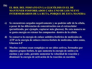 1b) EL ROL DEL FOSFATO EN LA GLICÓLISIS ES EL DE MANTENER FOSFORILADOS CADA UNO DE LOS NUEVE INTERMEDIARIOS DE LA RUTA, PORQUE DE ESTA MANERA: Se encuentran cargados negativamente y no podrán salir de la célula, a pesar de las diferencias de concentración con el extracelular (permitiendo, por ejemplo, capturar más glucosa). De esta manera no se gasta energía en retener los compuestos  dentro de la célula Se conserva la energía de enlace anhidro-fosfórico de moléculas de ATP en la energía de enlaces ésteres-fosfato de moléculas, tales como, Glucosa 6-P Muchas enzimas usan complejos en sus sitios activos, formados por algunos grupos fosfato, lo que aumenta la energía de unión a la enzima y por ende, permite aumentar la velocidad de reacción y disminuir la energía de activación de la reacción en cuestión. 