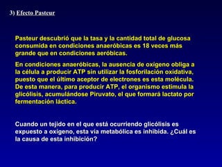 3)  Efecto Pasteur Pasteur descubrió que la tasa y la cantidad total de glucosa consumida en condiciones anaeróbicas es 18 veces más grande que en condiciones aeróbicas.  En condiciones anaeróbicas, la ausencia de oxígeno obliga a la célula a producir ATP sin utilizar la fosforilación oxidativa, puesto que el último aceptor de electrones es esta molécula. De esta manera, para producir ATP, el organismo estimula la glicólisis, acumulándose Piruvato, el que formará lactato por  fermentación láctica. Cuando un tejido en el que está ocurriendo glicólisis es expuesto a oxígeno, esta vía metabólica es inhibida. ¿Cuál es la causa de esta inhibición? 