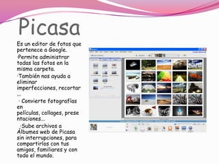 PicasaEs un editor de fotos que pertenece a Google.·Permite administrar todas las fotos en la misma carpeta.·También nos ayuda a eliminar imperfecciones, recortar... · Convierte fotografías en películas, collages, presentaciones...  ·Sube archivos a Álbumes web de Picasa sin interrupciones, para compartirlos con tus amigos, familiares y con todo el mundo.