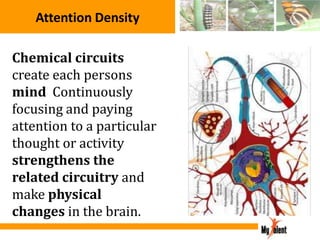 Attention Density
Chemical circuits
create each persons
mind Continuously
focusing and paying
attention to a particular
thought or activity
strengthens the
related circuitry and
make physical
changes in the brain.

 