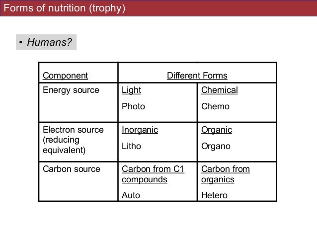 BIS2C. Biodiversity and the Tree of Life. 2014. L7. Intro