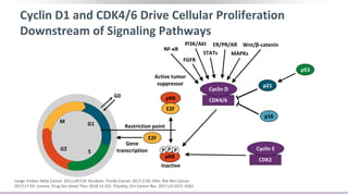 pRB
Cyclin D1 and CDK4/6 Drive Cellular Proliferation
Downstream of Signaling Pathways
Lange. Endocr Relat Cancer. 2011;18:C19. Kundsen. Trends Cancer. 2017;3:39. Otto. Nat Rev Cancer.
2017;17:93. Corona. Drug Des Devel Ther. 2018.12:321. Tripathy. Clin Cancer Res. 2017;23:3251-3262.
Gene
transcriptionG2 S
M G1
Inactive
Active tumor
suppressor
E2F
E2F
Restriction point
p16
p21
p53
CDK4/6
Cyclin D
CDK2
Cyclin E
pRB
P P P
G0
Pl3K/Akt
STATs MAPKs
ER/PR/AR Wnt/β-catenin
NF-κB
FGFR
 