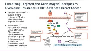 Combining Targeted and Antiestrogen Therapies to
Overcome Resistance in HR+ Advanced Breast Cancer
 ~ 50% of advanced HR+
BCs are de novo
resistant to ET, with
most developing
acquired resistance
 Mechanisms of
resistance may include
loss or alteration of
ER expression;
overexpression or
activation of growth
factor receptors; or
activation of
downstream signal
transduction pathways
PI3K
Akt
PTEN
mTOR
RAS
Raf
MEK
MAPK
ER Target Gene
Transcription
P P
EGFR
HER2
E
E
ER
E
ER
E
ER
E
TKI
mTOR Inhibitors
Everolimus
Aromatase Inhibitor
Nonsteroidal AIs:
Anastrozole
Letrozole
Steroidal AI:
Exemestane
Selective ER
Modulators
Tamoxifen
Toremifene
ER Downregulator
Fulvestrant
CDK4/6 Inhibitors
Palbociclib
Abemaciclib
Ribociclib Cell
Cycle
Transcription
Silencing
 