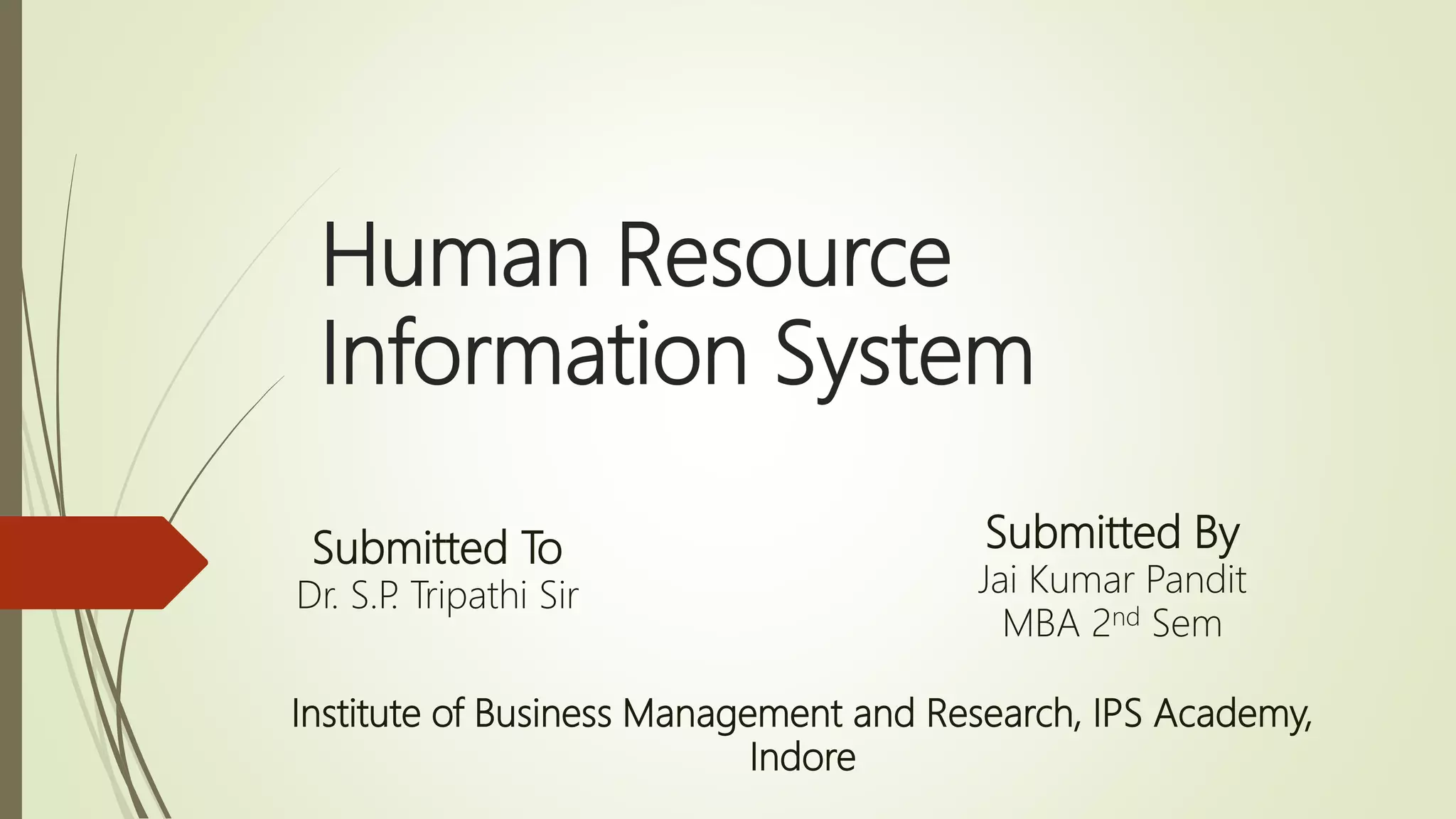 Human Resource Information System | PPTX