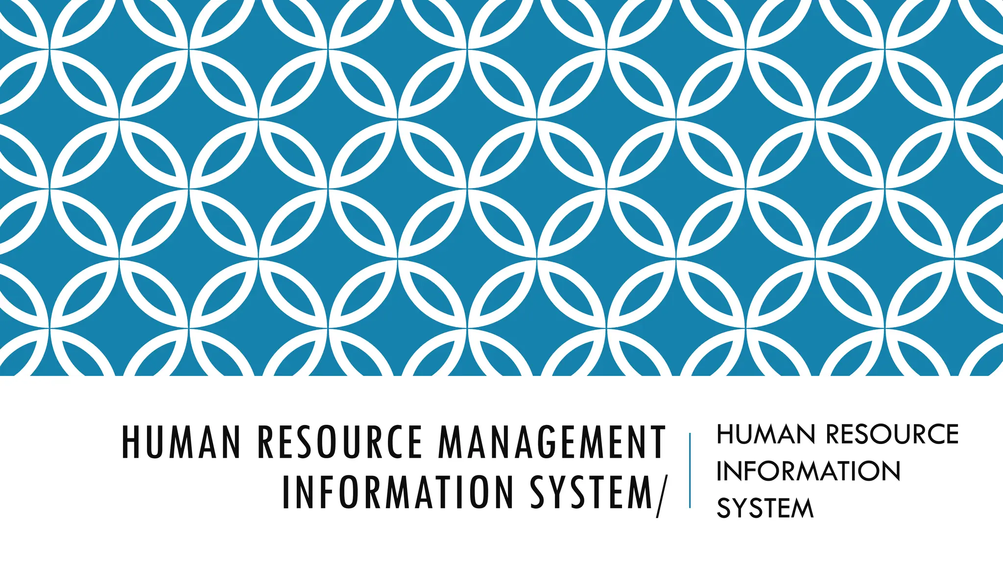 HUMAN RESOURCE MANAGEMENT
INFORMATION SYSTEM/
HUMAN RESOURCE
INFORMATION
SYSTEM
 