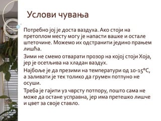 Христов венац | PPT