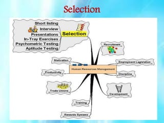 Selection

 