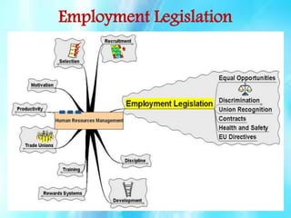 Employment Legislation

 