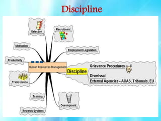 Discipline

 