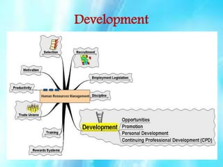 Development

 
