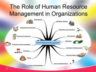 The Role of Human Resource
Management in Organizations
 