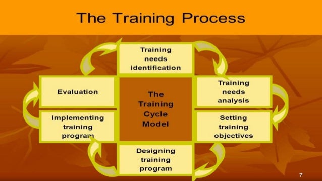 Training process and its implementations of program