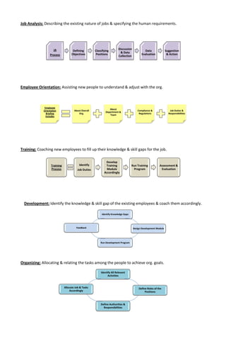 Functions of HRM: Short Definitions, Process & Diagrams | PDF