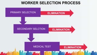 WORKER SELECTION PROCESS
PRIMARY SELECTION ELIMINATION
MEDICAL TEST ELIMINATION
SECONDARY SELCTION ELIMINATION
 