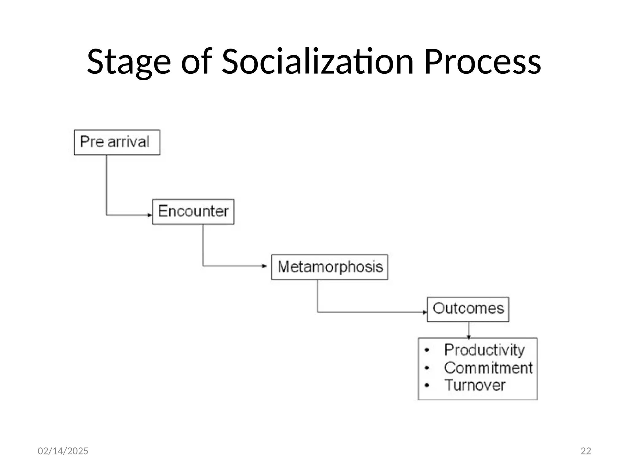 02/14/2025 22
Stage of Socialization Process
 
