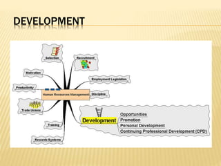 DEVELOPMENT
 