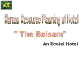 Human Resource Planning of Hotel  &quot; The Balsam&quot;  An Ecotel Hotel 