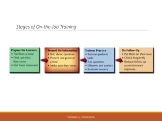 Stages of On-the-Job Training
TÜZÜNER V.L. PROFESSOR,
 