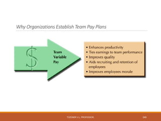 Why Organizations Establish Team Pay Plans
TÜZÜNER V.L. PROFESSOR, 249
 