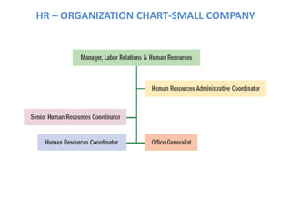 HR – ORGANIZATION CHART-SMALL COMPANY
 