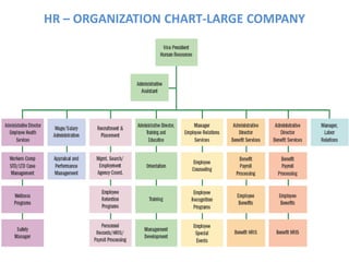 HR – ORGANIZATION CHART-LARGE COMPANY
 