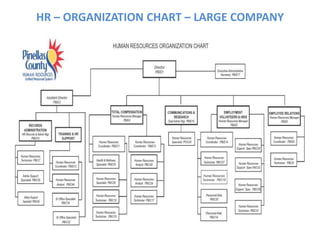 HR – ORGANIZATION CHART – LARGE COMPANY
 