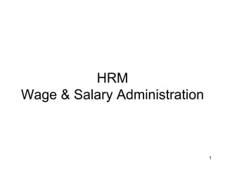 HRM Wage & Salary Administration 